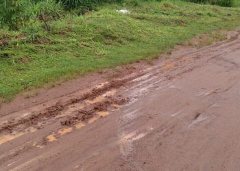 Moradores do Residencial Morumbi em Senador Canedo pedem ajuda