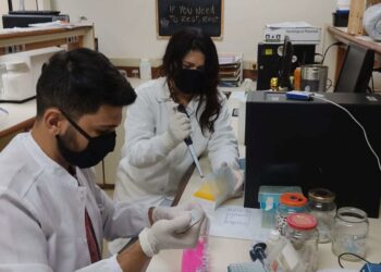 Pesquisadores da UEG descobrem novas espécies de cogumelo e bolor