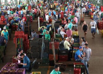 Governo de Goiás: veja o que abre e fecha no feriado do Dia do Trabalhador