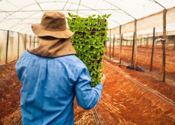 Goiás é líder no Centro-Oeste e segundo no Brasil na geração de empregos no agro