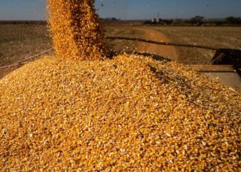 Balança Comercial goiana tem saldo superavitário de US$ 1,027 bilhão em maio