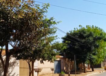 Árvores estão atingindo fiação elétrica em bairro de Senador Canedo
