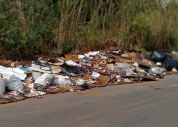 Entulhos e lixos provocam forte odor em setor de Senador Canedo