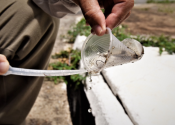Governo de Goiás reforça combate ao Aedes Aegypti