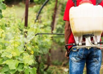 Governo de Goiás promove ações para minimizar riscos de exposição a agrotóxicos