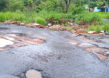 Senador Canedo: moradores do Residencial Buriti sofrem com mato alto e buracos nas ruas