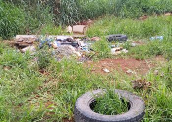 Lotes abandonados em Senador Canedo viram criadouro do Aedes Aegypti
