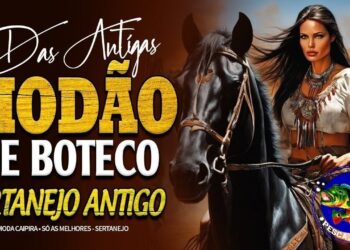 MODÃO SERTANEJO – MUSICA RAIZ –  SERTANEJO CAIPIRA #sertanejo