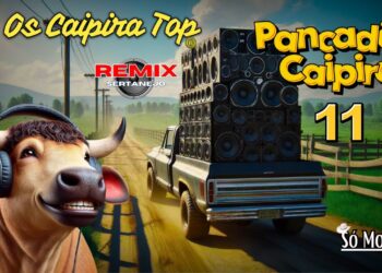 SELEÇÃO Pancadão Caipira  11 (REMIX) Os Caipira Top 2024 #oscaipiratop #modao #remixsertanejo #remix