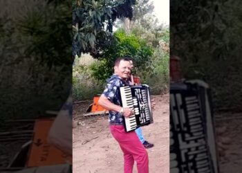 Na Roça a SANFONA CHORA ASSIM #sanfona #sanfoneiros #sanfoneiro #shortshorts #shortmusic #shorts
