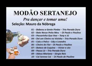 Modão Sertanejo – Pra dançar e tomar uma!