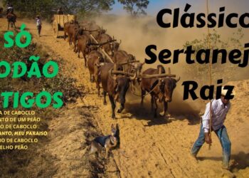 Clássicos Sertanejos Raiz (4)
