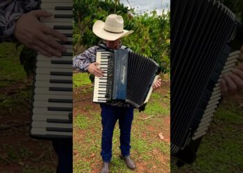 Para quem gosta de modão #acordeon #sanfona #modãoraiz #modao #sertanejo #gaita #musica #modão