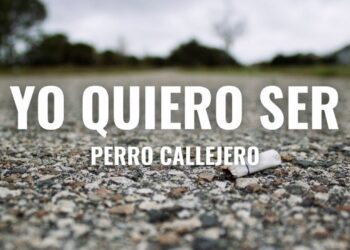 Perro Callejero – Yo Quiero Ser (Letra Solene)