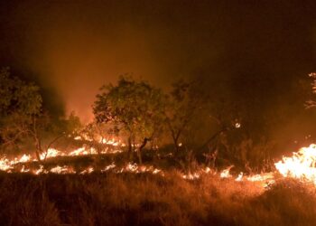 Brasil reduz em 12% emissões de gases do efeito estufa em 2023