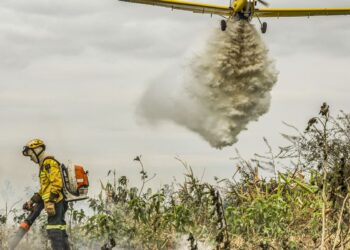 Pantanal: redução da extensão alagada tem favorecido aumento de incêndios