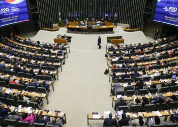 Cúpula do P20 debate sustentabilidade e enfrentamento de desigualdades