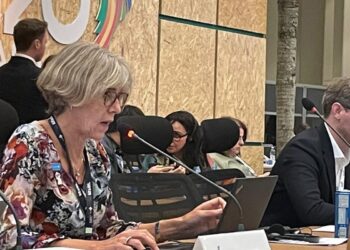 Unicef destaca progresso em declarações do G20 sobre saúde e clima