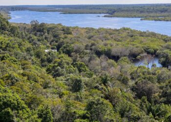 G9: indígenas defendem demarcação para reduzir danos climáticos