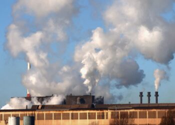 Lula sanciona lei que regula mercado de carbono no Brasil