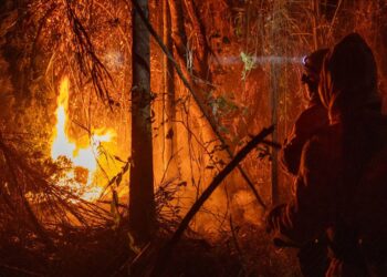 Área queimada no Brasil até novembro quase dobra em relação a 2023