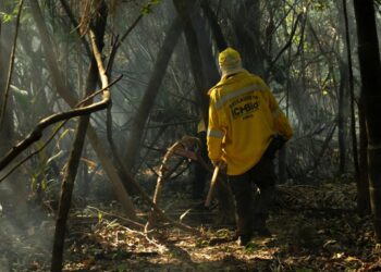 Amazônia tem o maior número de queimadas e incêndios em 17 anos