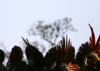 Ciência precisa dialogar com ecologia indígena, dizem pesquisadores