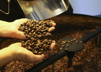 Brasil exporta 46 milhões de sacas de café, atingindo recorde em 2024