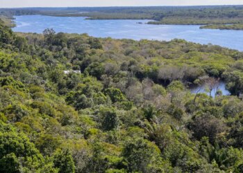 Conflito por território é principal gerador de violência na Amazônia