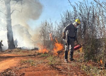 Aberto prazo para solicitar autorização para queima controlada