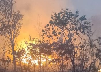 Em uma semana, queimadas disparam 152% em Goiás – Portal Goiás