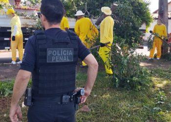 Reeducandos auxiliam na revitalização de espaços públicos em Goiás – Portal Goiás