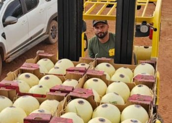 Agrodefesa garante segurança fitossanitária e Goiás inicia exportação de melão para Argentina – Portal Goiás