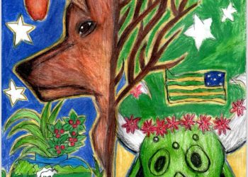 Educação divulga vencedores para estampar capas dos cadernos – Portal Goiás