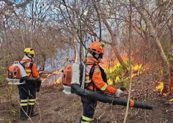 Identificados autores de incêndios florestais – Portal Goiás