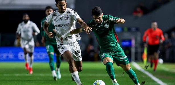 Palmeiras empata com Santos, estaciona em 2º e pode ver Fla abrir vantagem