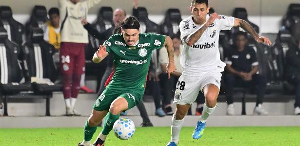 Palmeiras precisa vencer para perseguir o Flamengo. Informações e palpites