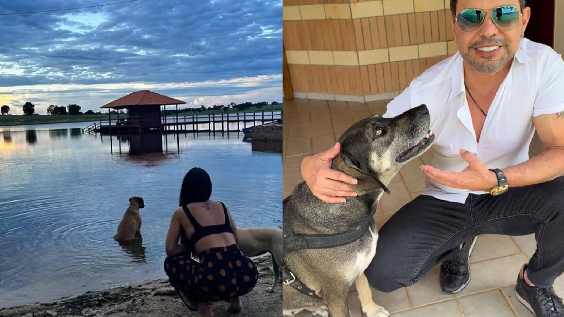 Aos 64 anos, cantor sertanejo transforma fazenda de 1.500 hectares em refúgio para animais resgatados